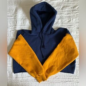 Levi's Gold Tab 90s Raw Cut Color Block Cropped Hoodie